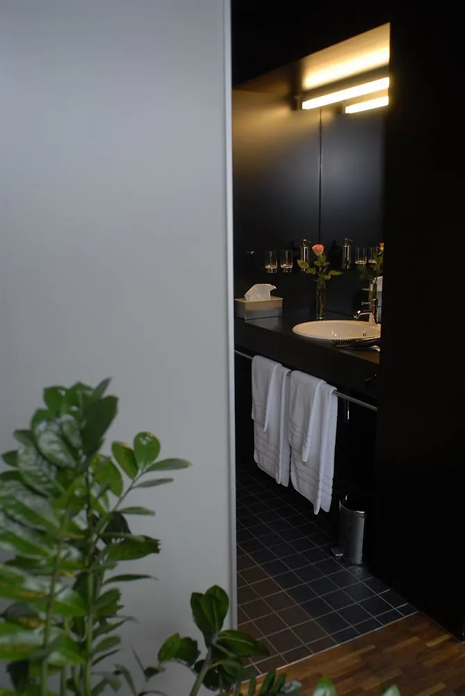 Dasbreitehotel Am Rhein Bazel 3*,