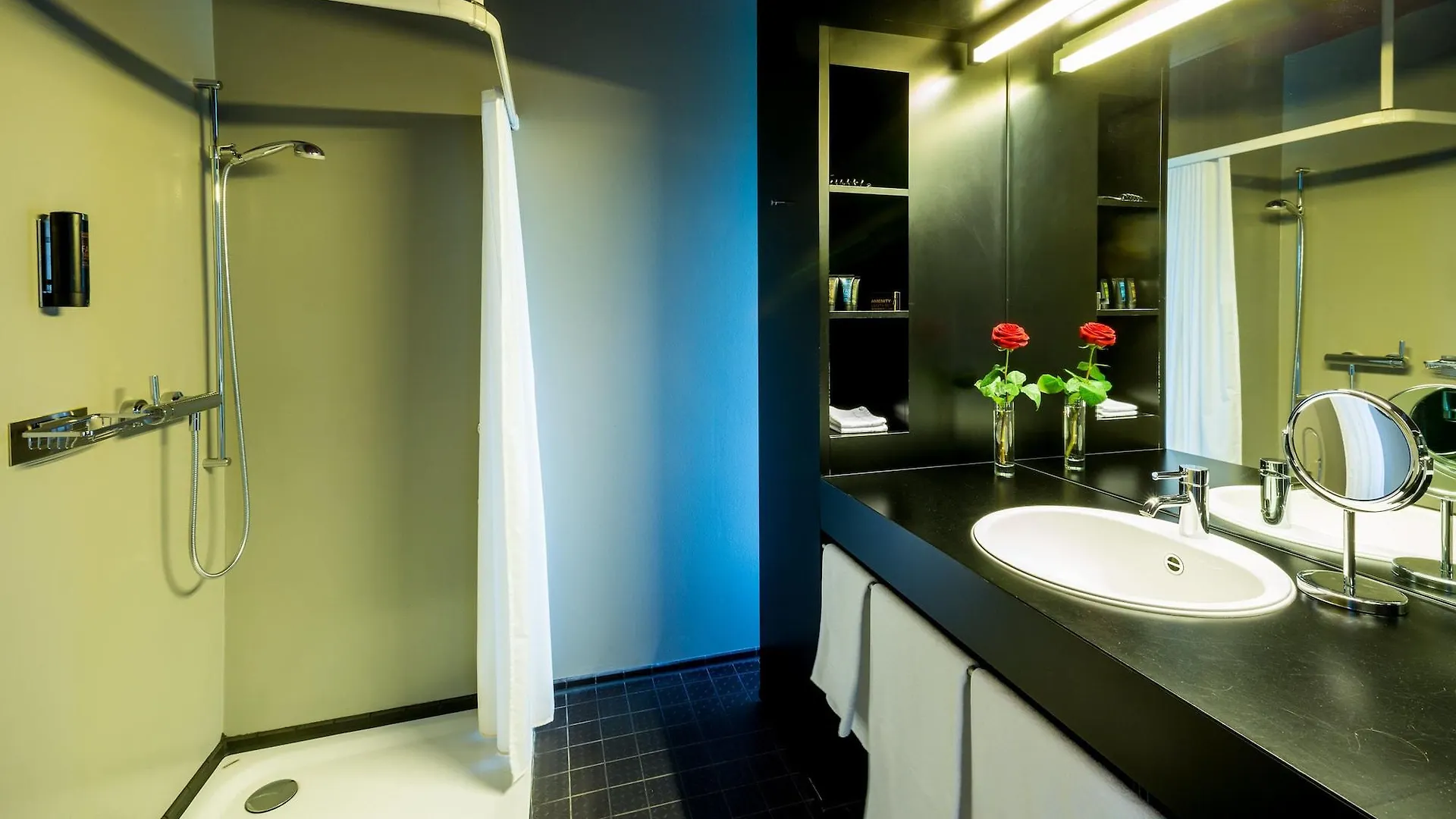 Dasbreitehotel Am Rhein Basel Hotel